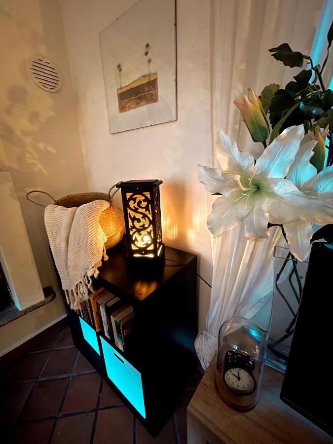 로카르노 Residenza Valentino 아파트 외부 사진